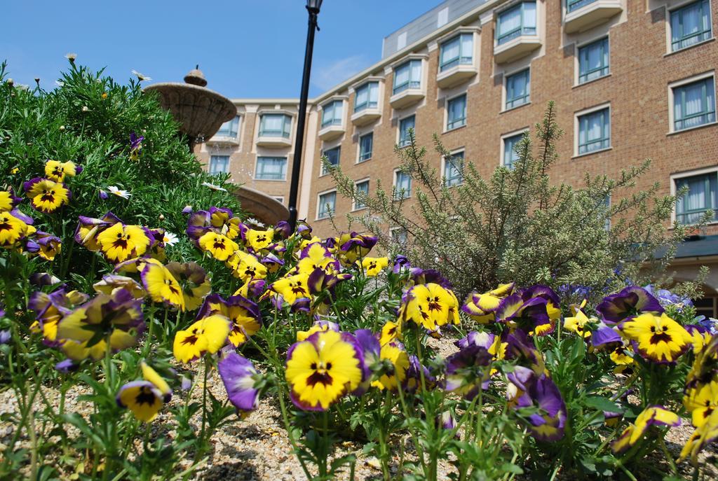 Royal Oak Hotel Spa & Gardens Ότσου Εξωτερικό φωτογραφία